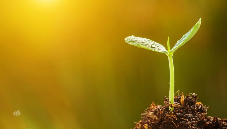 A New Beginning