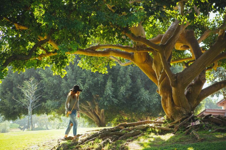 kevin-young-Z5qD8T3wVvk-unsplash
